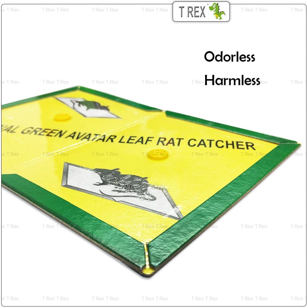 20974 {Pack of 1} Mouse & Rat Glue Trap Board | Strong Adhesive Rat Catcher | Non-Toxic Sticky Trap |