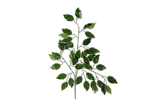 20969 (12 Sticks) Artificial Green Garland Fake Leaf Ficus Plants, Flowers Hanging for Wedding Party Home Garden Kitchen Office Outdoor Greenery Wedding Wall Decoration