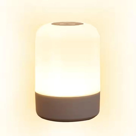 NC-B003 Oval Shaped LED Table Lamp – USB Rechargeable Touch Night Light with 3 Modes