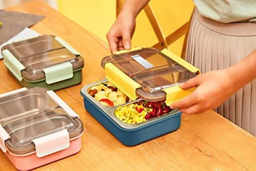 10652 2 Compartment Leak Proof Insulated Stainless Steel Bpa Free Insulated Lunch/Tiffin Box With Removable Inner Plate For Women&Men Office