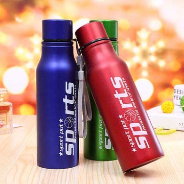 4106 Flask Colour sports steel bottle 500 ml