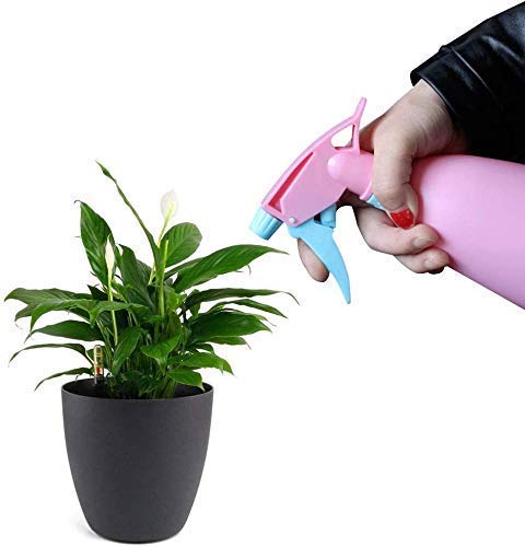 10686 500ml Water Spray bottle for sanitizing, watering plants, Ironing spray, Haircut