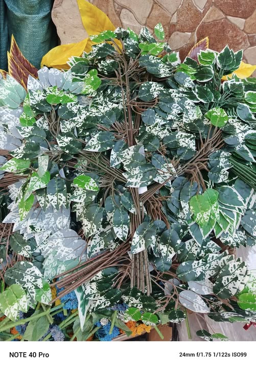 20969 (12 Sticks) Artificial Green Garland Fake Leaf Ficus Plants, Flowers Hanging for Wedding Party Home Garden Kitchen Office Outdoor Greenery Wedding Wall Decoration