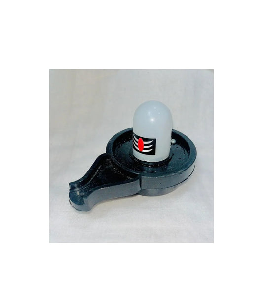 2020 ( 12 pcs ) Water Sensor Shivling