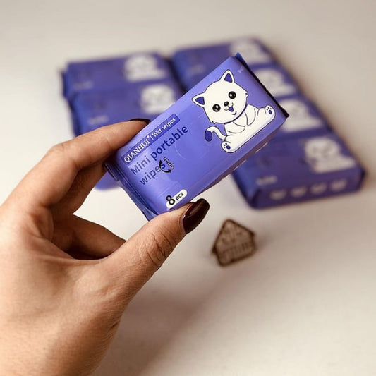 20348 Mini Portable Disposable Baby Wipes Water Wipes Baby Skin Care Wet Tissue 64 Wipes