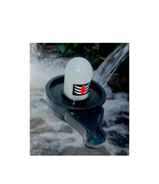 2020 ( 12 pcs ) Water Sensor Shivling