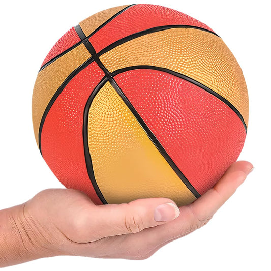 20309 Rhode Island Novelty Assorted Basketballs