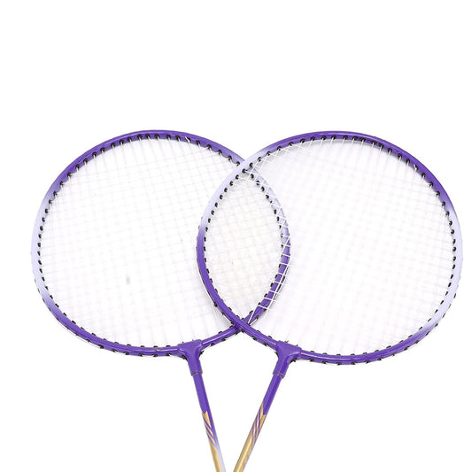 IZ-918 Badminton Rackets 2 Pieces Racket for Training Practice Advanced Violet|Sporting Goods |Badminton (Random Colour)