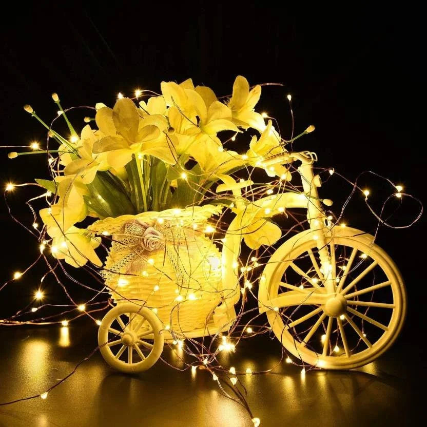 20149 5 Meter LED light Fairy Lights Battery Operated Golden color