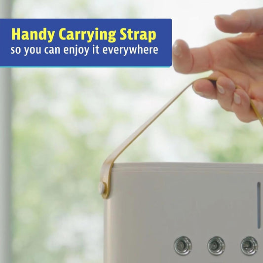 FH-666-2 in 1 Double Ended Spray Mist Fan, 4000mAh USB Rechargeable Rotatable Air Cooler with Water Tank