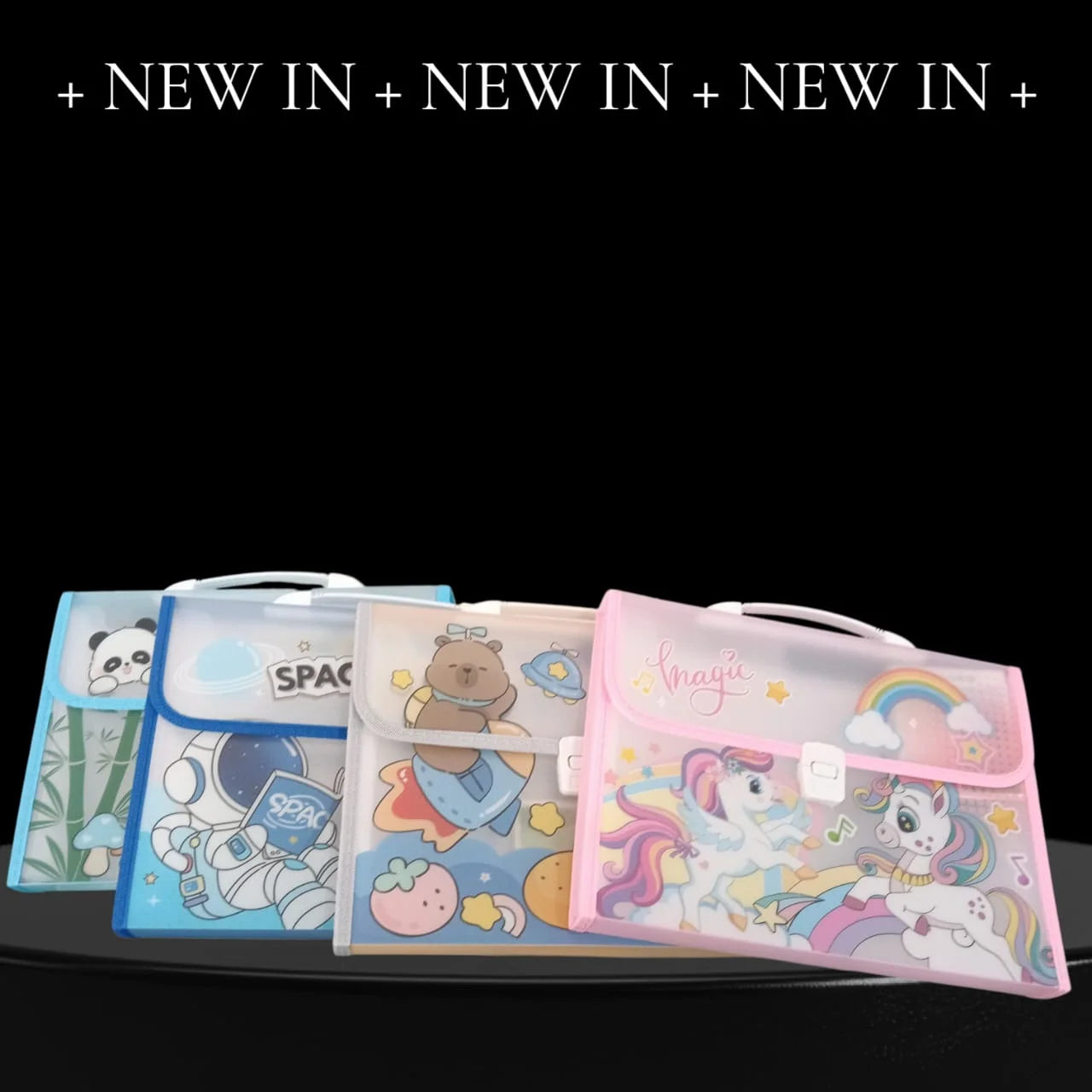 11233 File Folder with Handle and Push Lock – Office Documents File Folder