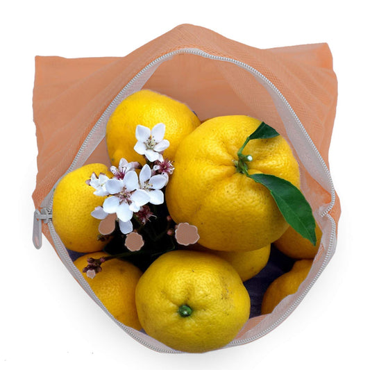 20372 {Pack of 4} Multi Purpose Fridge Storage Bags for Fruits and Vegetables, Reusable and Washable Produce Net Bags