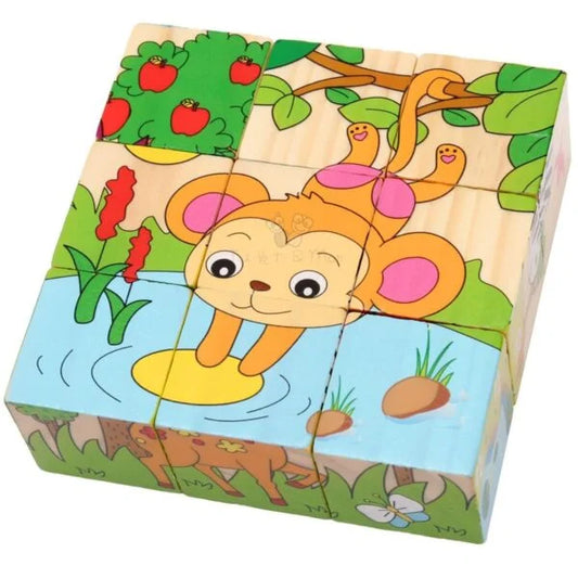10764 3D Puzzle Wooden Cube Block 6 Face 9 Pieces with Storage Tray Kids 3+ Years