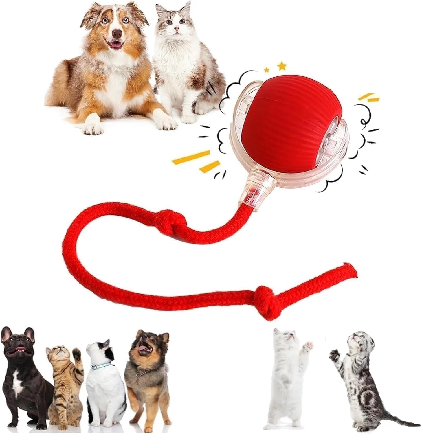 10877 Smart Rolling LED Pet Ball – USB Charging, Motion-Activated for Indoor Play, Fun for Kittens, Puppies & Small Dogs