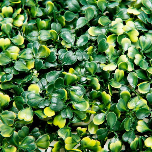 2099 Green Matt , Chana matt