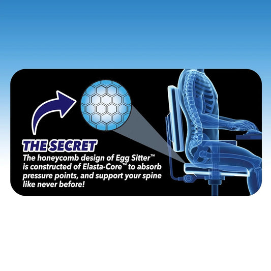 4155 Egg Sitter Seat Cushion with Non-Slip Cover