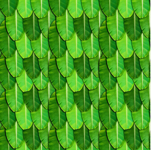 PJD-398  Green Banana Leaf Printed Backdrop Cloth, Polyester, 8Ft x 8Ft, for Satyanarayan Pooja, Ganesh Chaturthi, South Indian Festival Decoration, Washable and Reusable