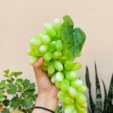 21120 Artificial Grape Bunch with Leaves | ECOSPEL Green Grape Bunch for Car Hanging Home Decor, Table Decor | Medium Size {Green/ Black Grape}