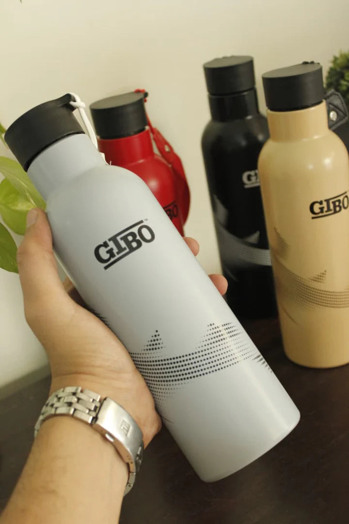 GBT-8386 Stainless Steel Water Bottle for School, Office, Wide Mouth Bottle 750ml