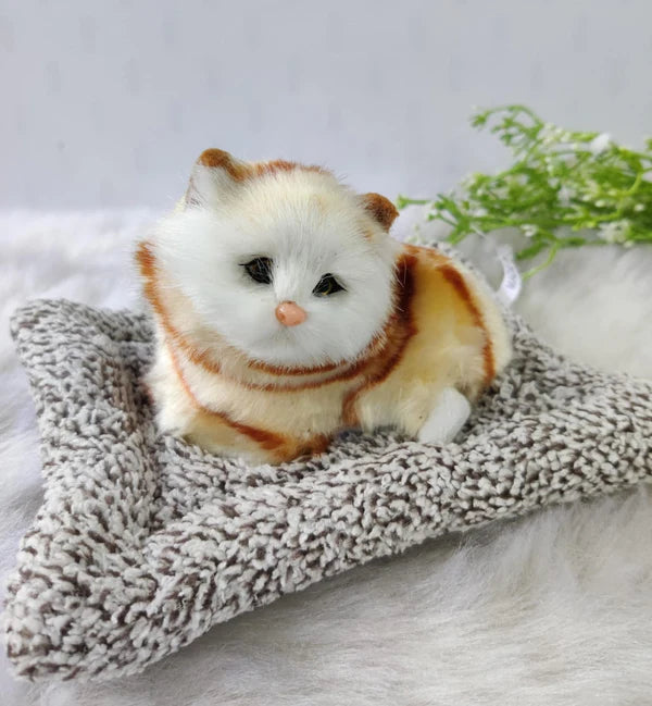 CG0197 Cute Simulation Music Mat Cat