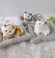 CG0197 Cute Simulation Music Mat Cat