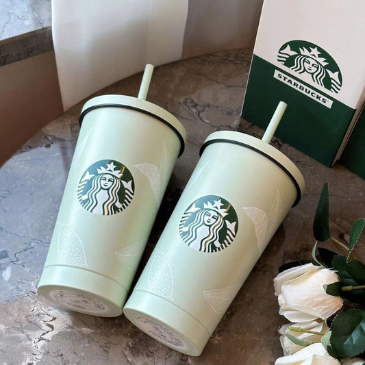 110436 Trending Stylish Stainless Steel Tumbler 500ML