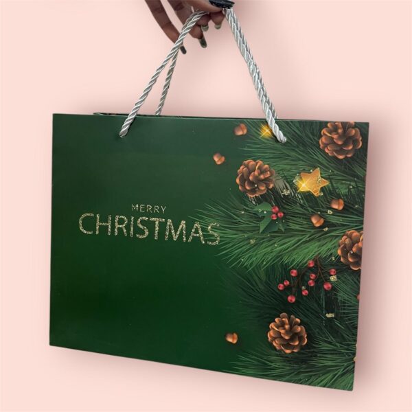 3668 Christmas Gift Glitter Bags with Handle, Non-Woven Christmas Bags for Gifts Wrapping Xmas Holiday, 20cm,25cm,10cm {Random Design}