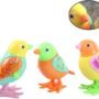 A780-23 Colorful Funny Key Operated Wind up Jumping Bird Toy