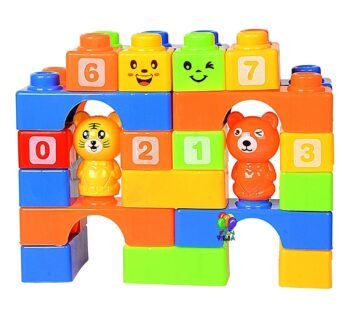 LM-688-1 Kagofit Big Size Blocks Set in Bag(Multicolour)- 30 Pieces