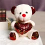 20072 Teddy Bear with One Heart 20 Cm {Multicolor}